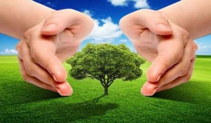 à¤ªà¤°à¥à¤¯à¤¾à¤µà¤°à¤£ à¤à¥ à¤ªà¥à¤°à¤¤à¤¿ à¤²à¥à¤à¥à¤ à¤à¥ à¤à¤¾à¤à¤°à¥à¤ à¤¹à¥à¤¨à¤¾ à¤à¤°à¥à¤°à¥ - The Ample News